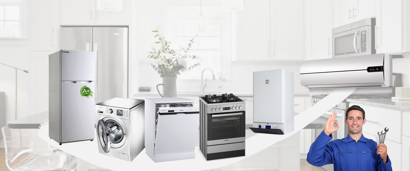 Didim Windsor Servisi